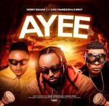 Shenky Shunga ft Jose Chameleon & D Bwoy - Ayee