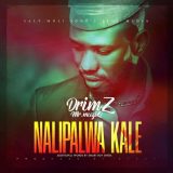 DrimZ - Nalipalwa Kale