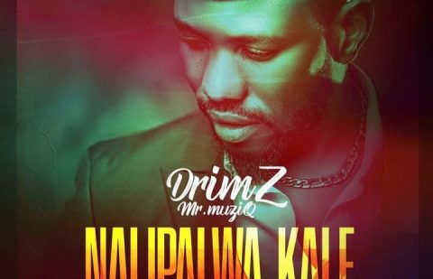 DrimZ - Nalipalwa Kale