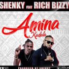Shenky Shuga ft. Rich Bizzy – Amina Kadala