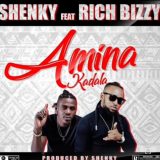 Shenky Shuga ft. Rich Bizzy – Amina Kadala