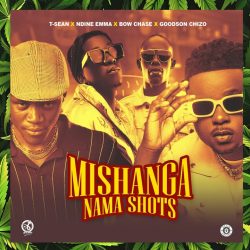 T-Sean ft Ndine Emma × Bow Chase × Goodson Chizo - Mishanga Nama Shorts