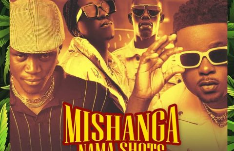 T-Sean ft Ndine Emma × Bow Chase × Goodson Chizo - Mishanga Nama Shorts