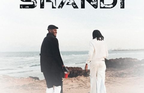 JayRox ft. T-Low - Shandi
